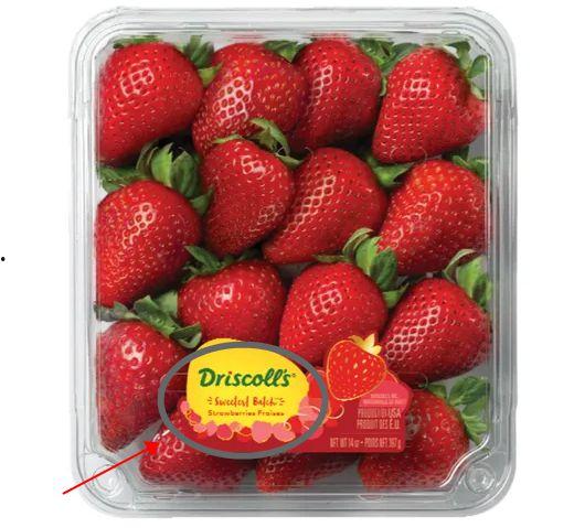 最新爆料草莓图片大全,最新爆料草莓图片大全大赏